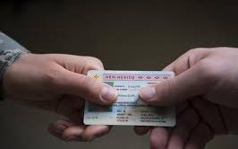 Models for Electronic Identification