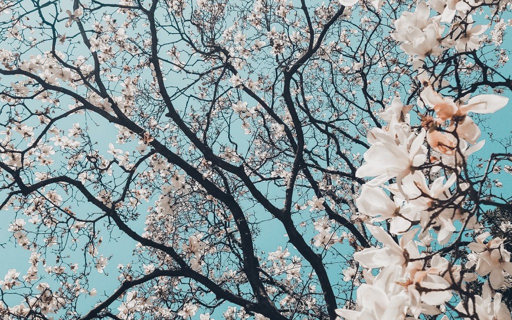 OpenID Support in Spring Security