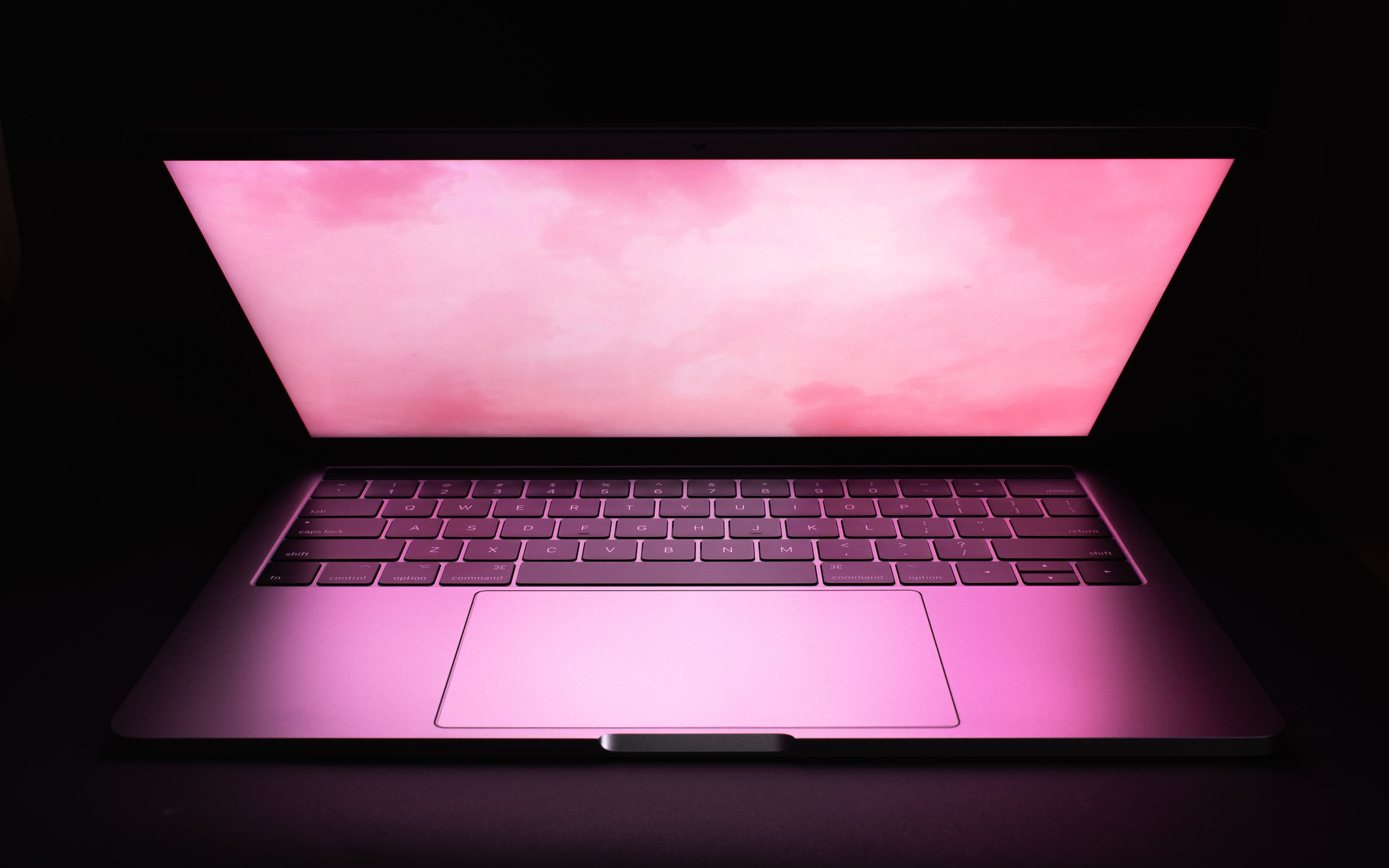 Розовый экран ноутбука. Розовый монитор. Розовый экран. Розовый макбук. Средний ноутбук.
