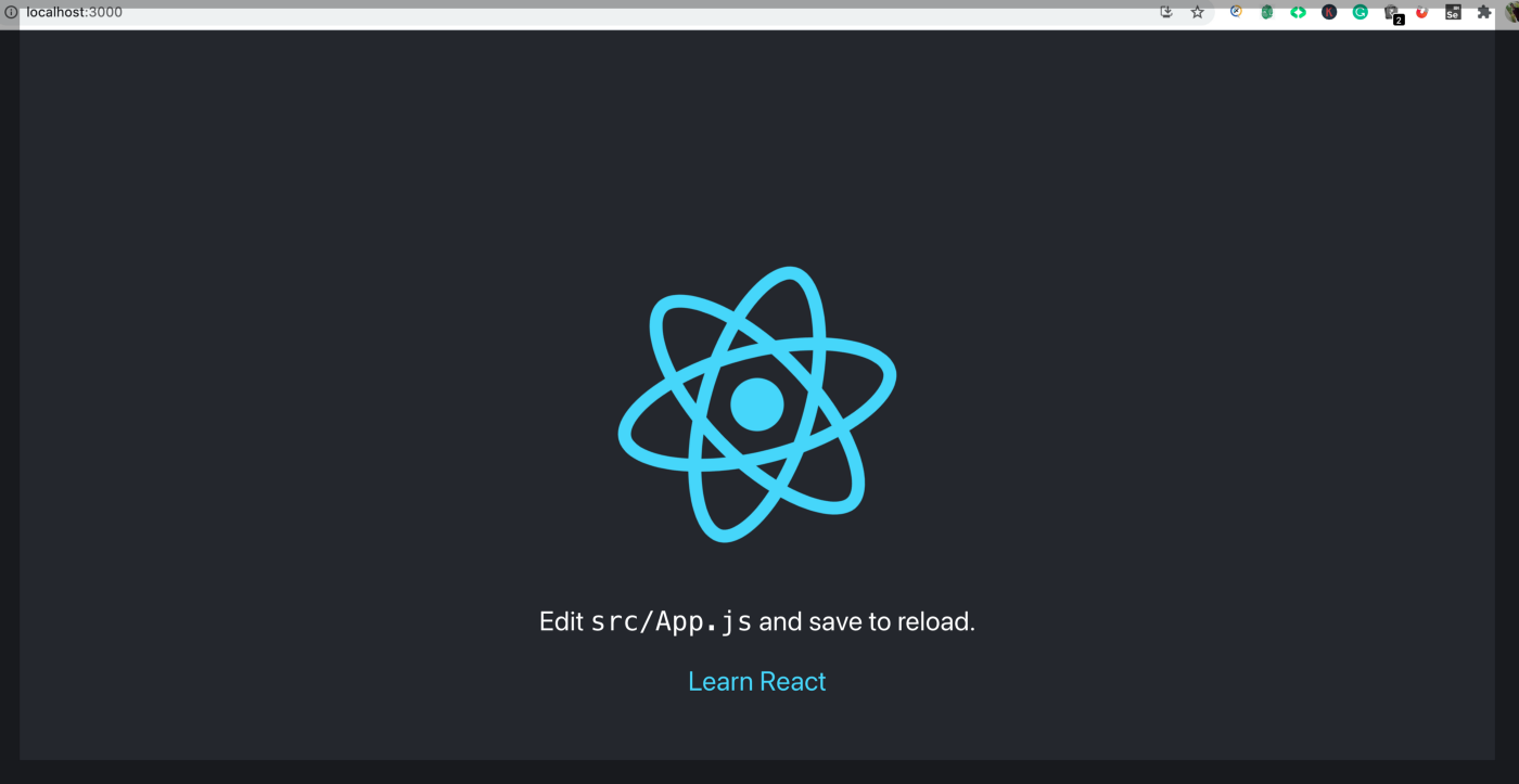 After running the command, the ‘npm start’ react app with the port is launched.