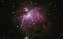 Nebula Graph Architecture — A Bird’s Eye View