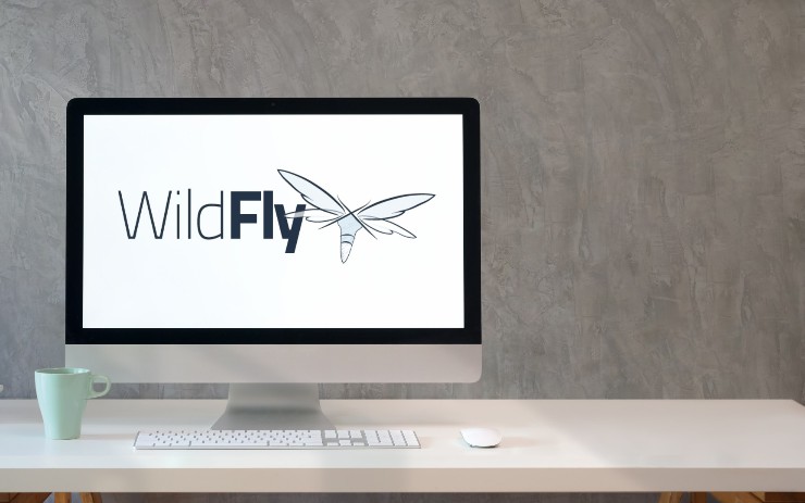 Making the JavaEE Ecosystem Work