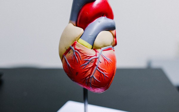 AI in Medical Outcomes With Cardiology