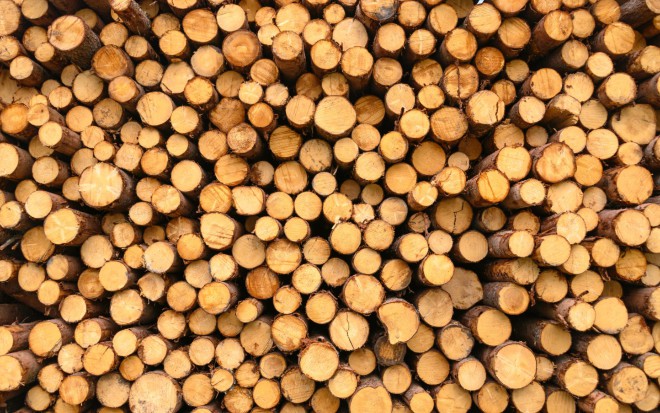 Troubleshooting, Dynamic Logging, and Observability for .Net — A New Kid on the Block