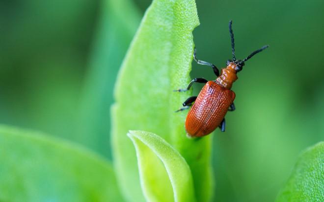 A Comprehensive Guide To Testing and Debugging AWS Lambda Functions