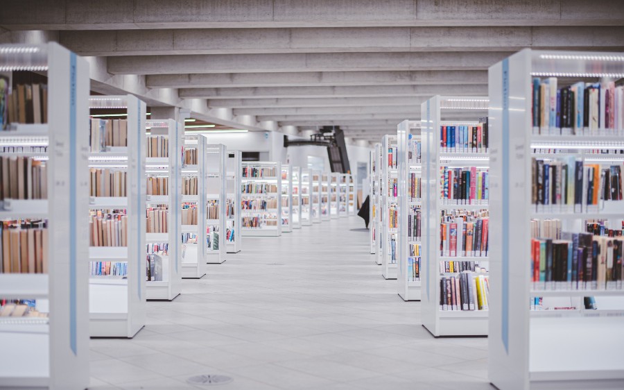 Unlock the Power of Software Heritage Archive