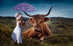 A Dirty Cow Container Exploit Sticks Around Even After The Container Is Destroyed