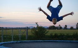 This Week in Spring: Spring 5, Trampoline, and JDK 9 Collections