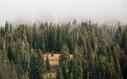 An Introduction to Machine Learning With Decision Trees